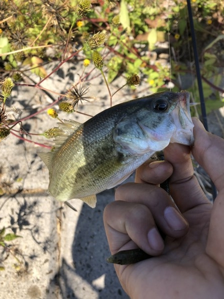 hideup 森田健太郎 ブログ写真 2018/11/02