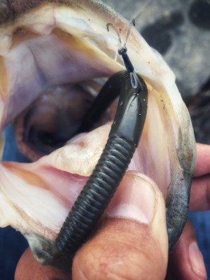 hideup 森田健太郎 ブログ写真 2018/11/02