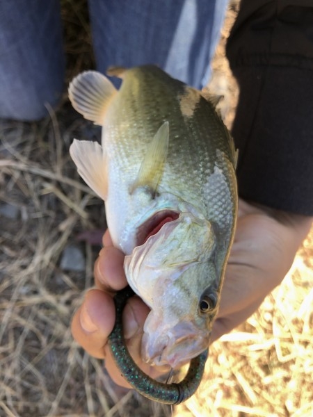 hideup 森田健太郎 ブログ写真 2018/11/02