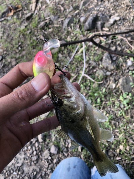 hideup 森田健太郎 ブログ写真 2018/11/03