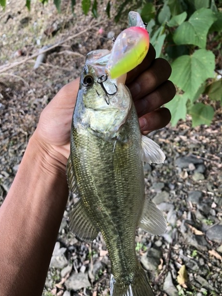 hideup 森田健太郎 ブログ写真 2018/11/03