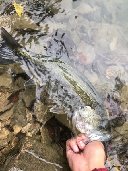 hideup 森田健太郎 ブログ写真 2018/11/04