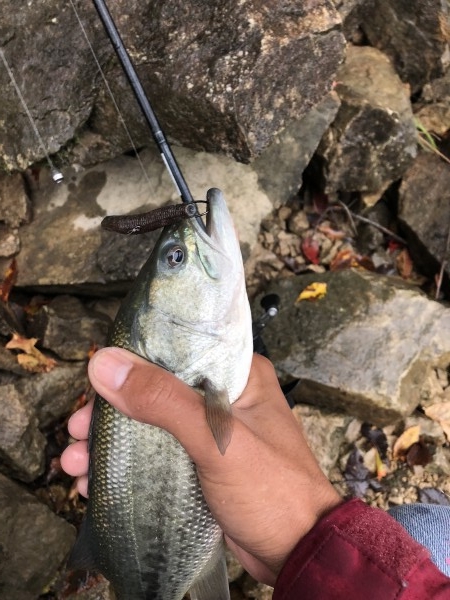 hideup 森田健太郎 ブログ写真 2018/11/04