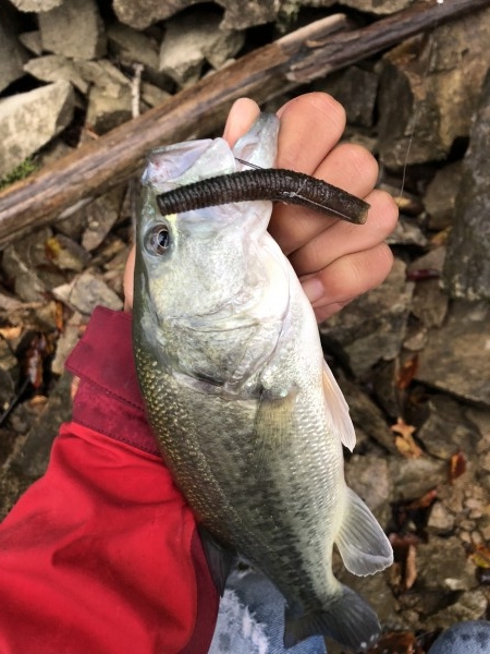 hideup 森田健太郎 ブログ写真 2018/11/04