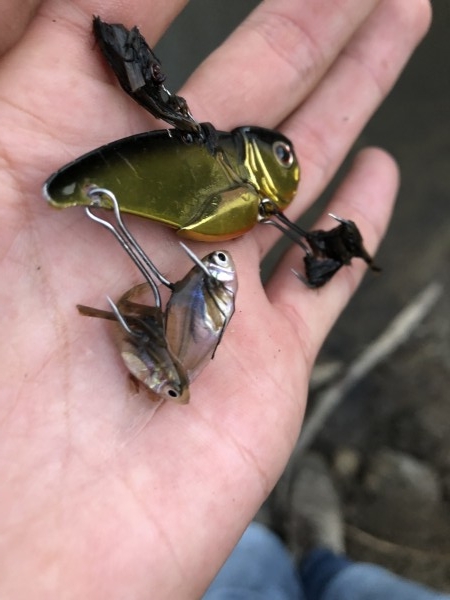 hideup 森田健太郎 ブログ写真 2018/11/06