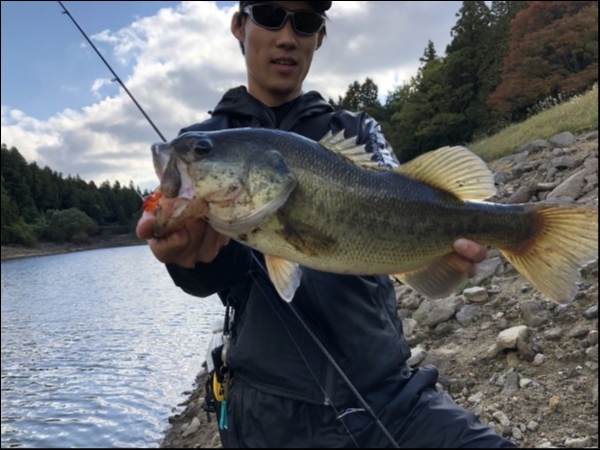 hideup 森田健太郎 ブログ写真 2018/11/06