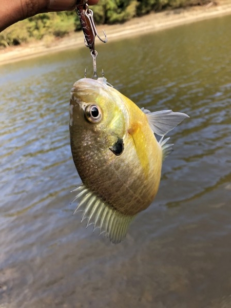 hideup 森田健太郎 ブログ写真 2018/11/06