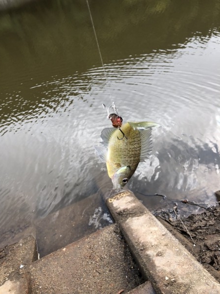hideup 森田健太郎 ブログ写真 2018/11/06