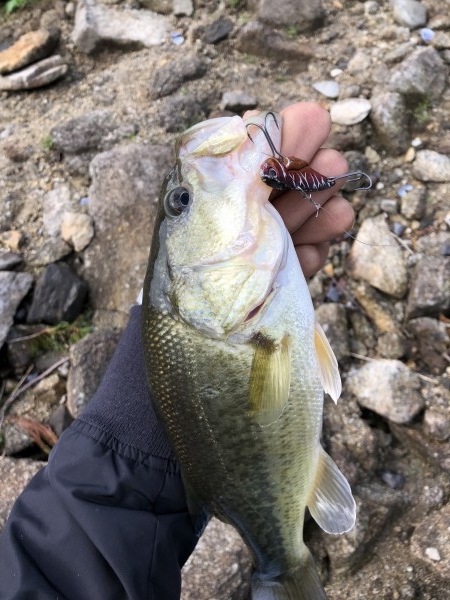 hideup 森田健太郎 ブログ写真 2018/11/06