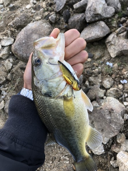 hideup 森田健太郎 ブログ写真 2018/11/06