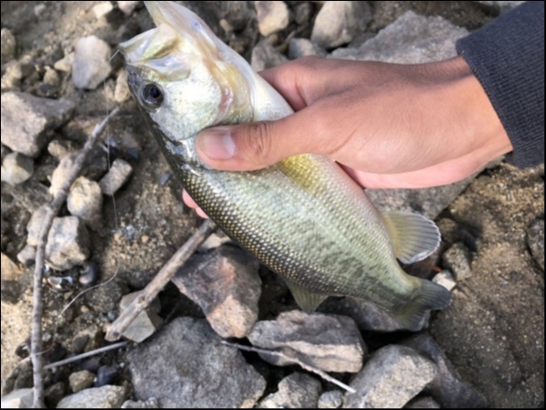 hideup 森田健太郎 ブログ写真 2018/11/06