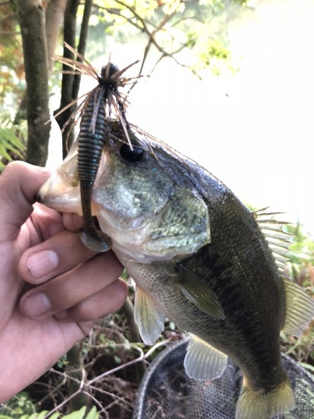 hideup 森田健太郎 ブログ写真 2018/11/06