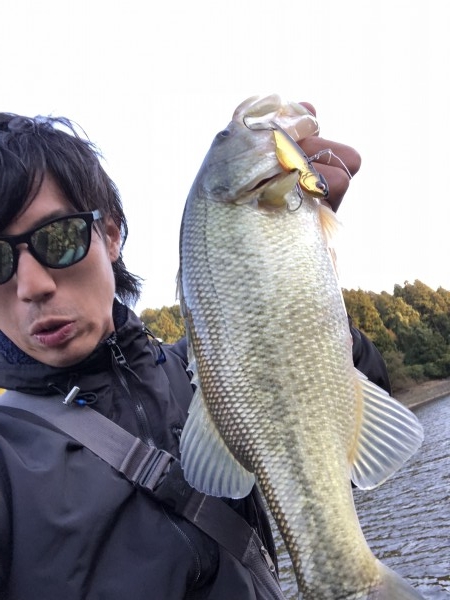 hideup 森田健太郎 ブログ写真 2018/11/06