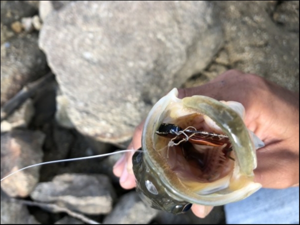 hideup 森田健太郎 ブログ写真 2018/11/06