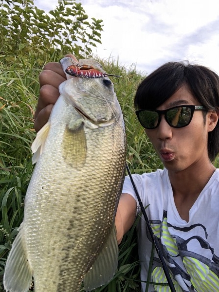 hideup 森田健太郎 ブログ写真 2018/11/07