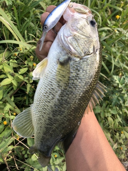 hideup 森田健太郎 ブログ写真 2018/11/07