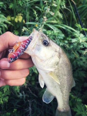 hideup 森田健太郎 ブログ写真 2018/11/07