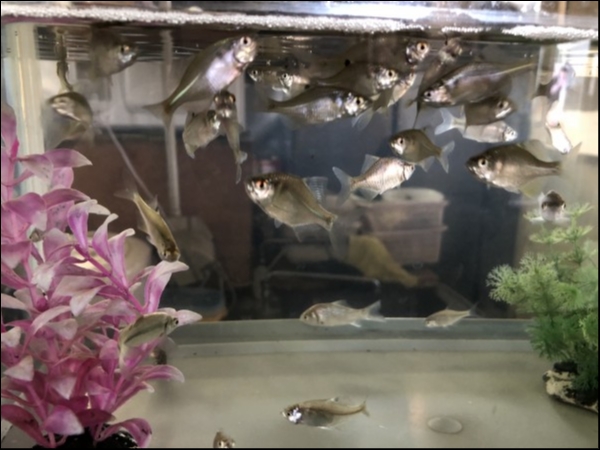 hideup 森田健太郎 ブログ写真 2018/11/08