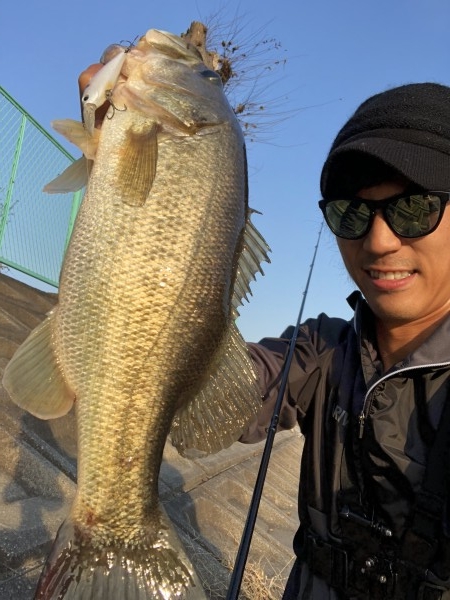 hideup 森田健太郎 ブログ写真 2018/11/08