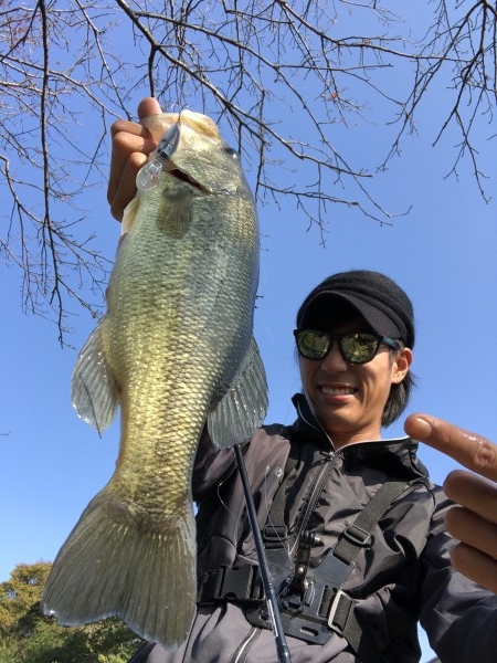 hideup 森田健太郎 ブログ写真 2018/11/08