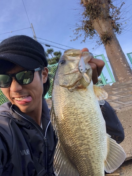 hideup 森田健太郎 ブログ写真 2018/11/08