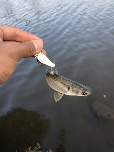 hideup 森田健太郎 ブログ写真 2018/11/08