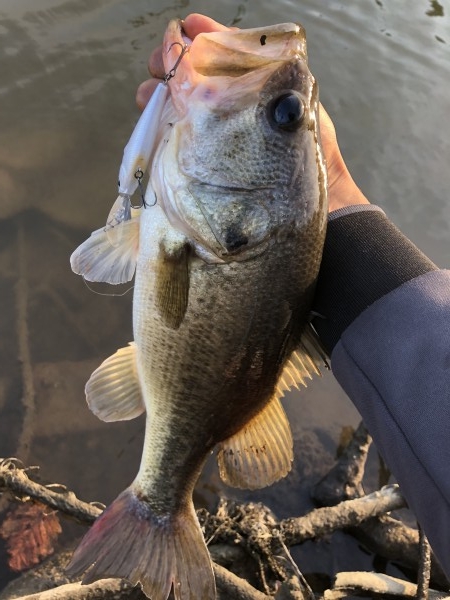 hideup 森田健太郎 ブログ写真 2018/11/10