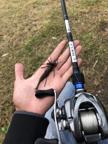 hideup 森田健太郎 ブログ写真 2018/11/10