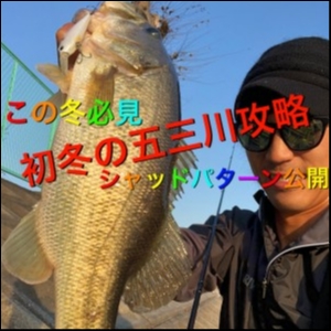 hideup 森田健太郎 ブログ写真 2018/11/10