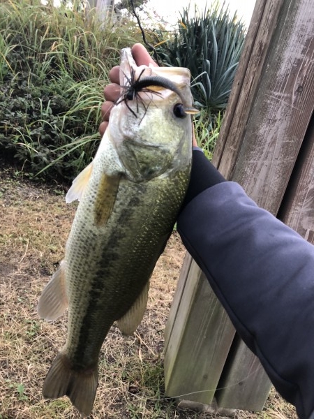 hideup 森田健太郎 ブログ写真 2018/11/10