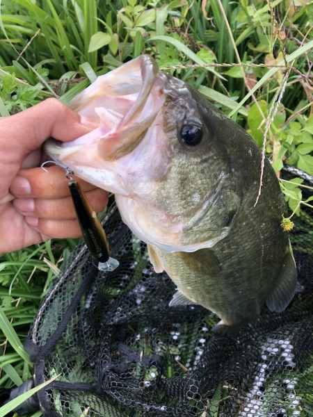 hideup 森田健太郎 ブログ写真 2018/11/10