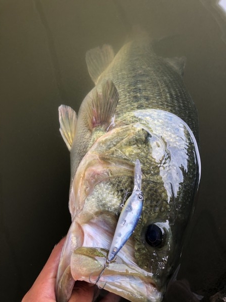 hideup 森田健太郎 ブログ写真 2018/11/10