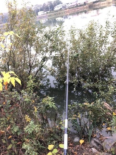 hideup 森田健太郎 ブログ写真 2018/11/10