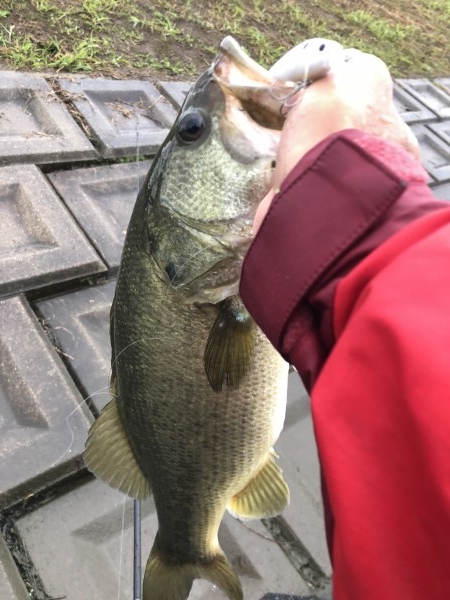 hideup 森田健太郎 ブログ写真 2018/11/10