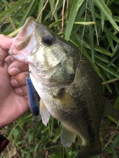 hideup 森田健太郎 ブログ写真 2018/11/10