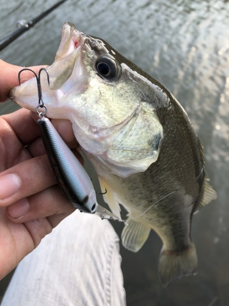 hideup 森田健太郎 ブログ写真 2018/11/10