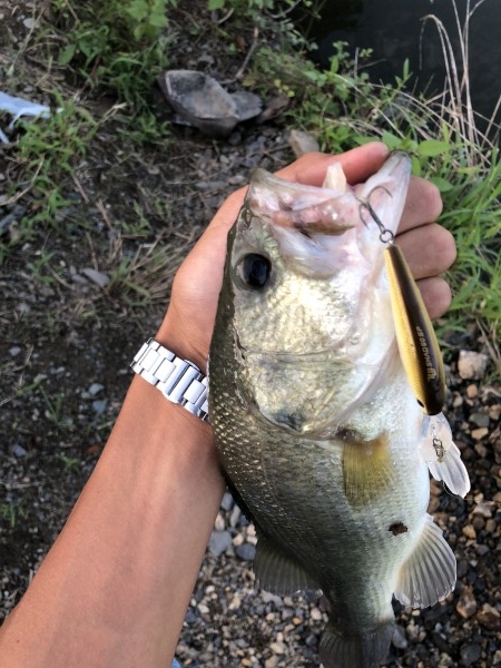 hideup 森田健太郎 ブログ写真 2018/11/10