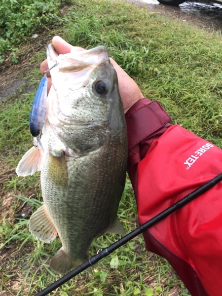 hideup 森田健太郎 ブログ写真 2018/11/10