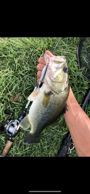 hideup 森田健太郎 ブログ写真 2018/11/10