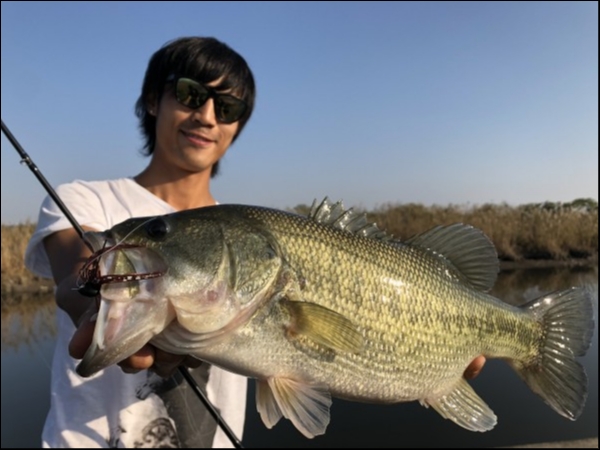 hideup 森田健太郎 ブログ写真 2018/11/11