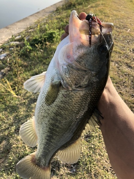 hideup 森田健太郎 ブログ写真 2018/11/11