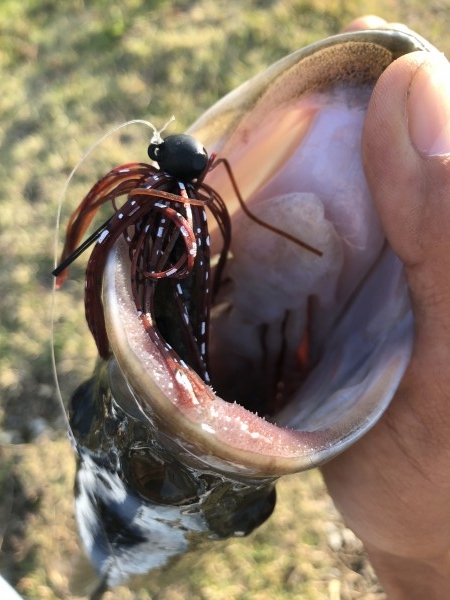 hideup 森田健太郎 ブログ写真 2018/11/11