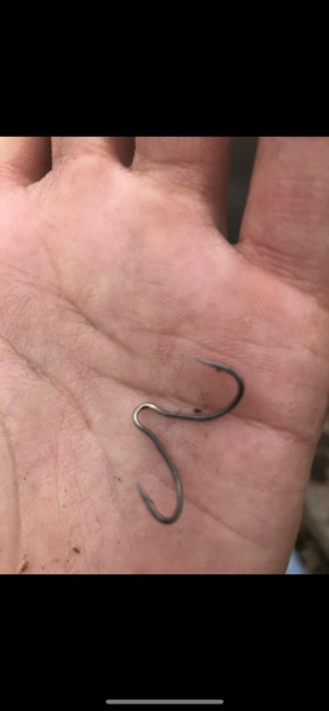 hideup 森田健太郎 ブログ写真 2018/11/15