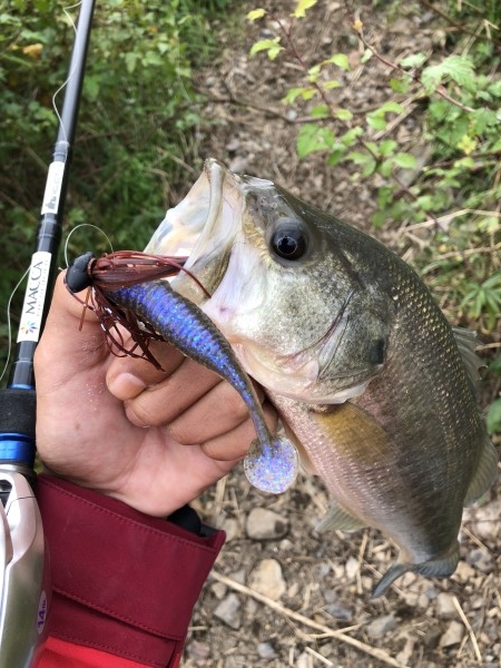 hideup 森田健太郎 ブログ写真 2018/11/15