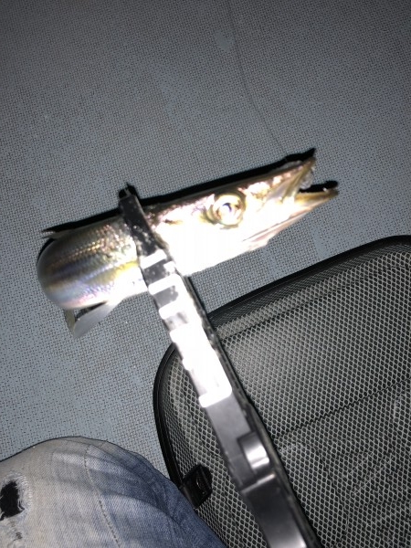 hideup 森田健太郎 ブログ写真 2018/11/15