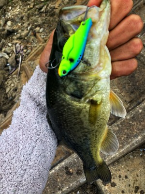 hideup 森田健太郎 ブログ写真 2018/11/15