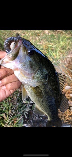 hideup 森田健太郎 ブログ写真 2018/11/15