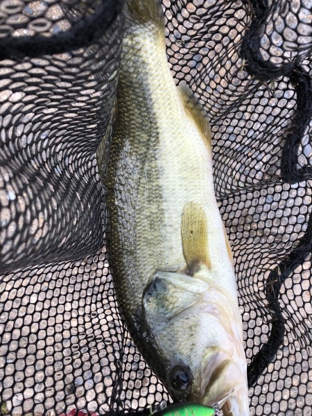 hideup 森田健太郎 ブログ写真 2018/11/15