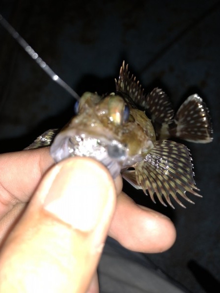 hideup 森田健太郎 ブログ写真 2018/11/15