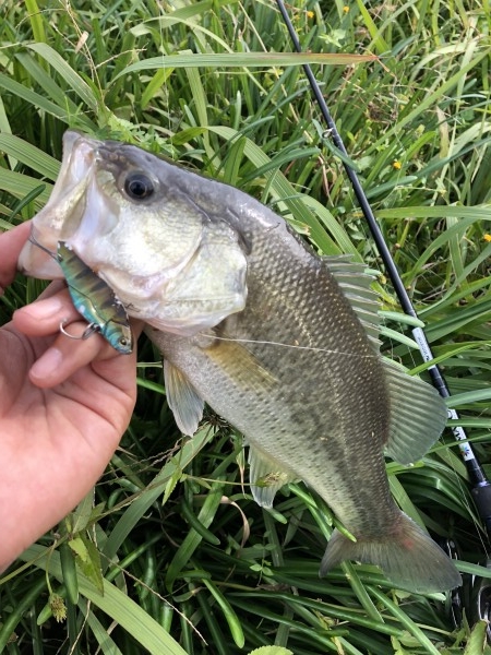 hideup 森田健太郎 ブログ写真 2018/11/15